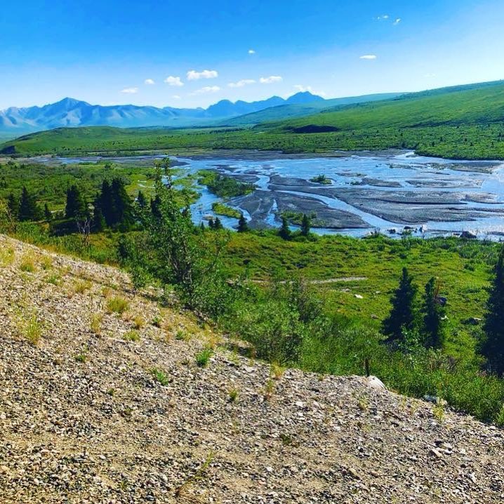 23 Denali National Park Tours In Alaska - Stampede Excursions
